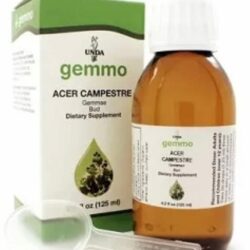 Acer Campestre